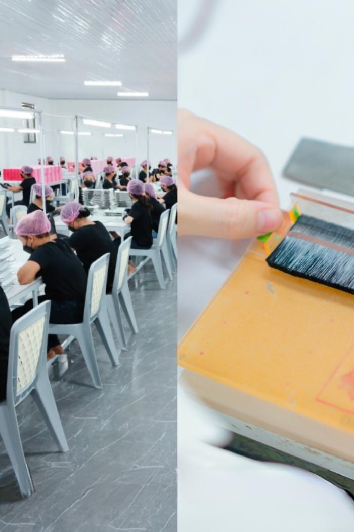 The Way Eyelash Extension Manufacturer 84 Supplier Affect North America